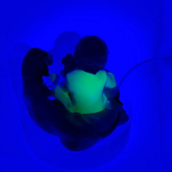 Vintage  Lladro Boy Child With Dog & Puppies Figurine #5456 Porcelain Figurine - Picture 13 of 14